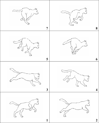 Image 1 - Sprite Sheet